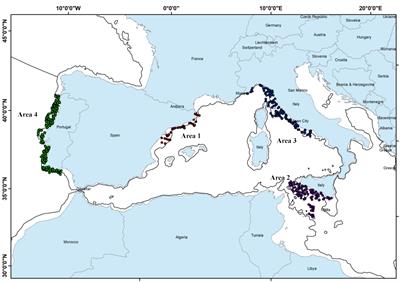 Identifying Persistent Hot Spot Areas of Undersized Fish and Crustaceans in Southern European Waters: Implication for Fishery Management Under the Discard Ban Regulation